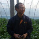 田美乐（TM）在山东寿光暖棚蔬菜上的试验报告